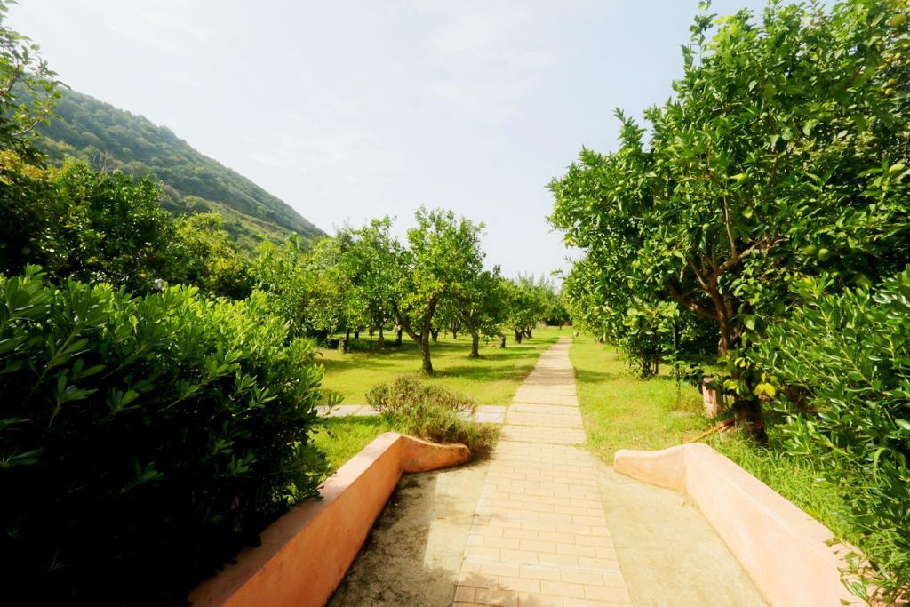 Residenza La Vigna Aparthotel Parghelia Exterior photo