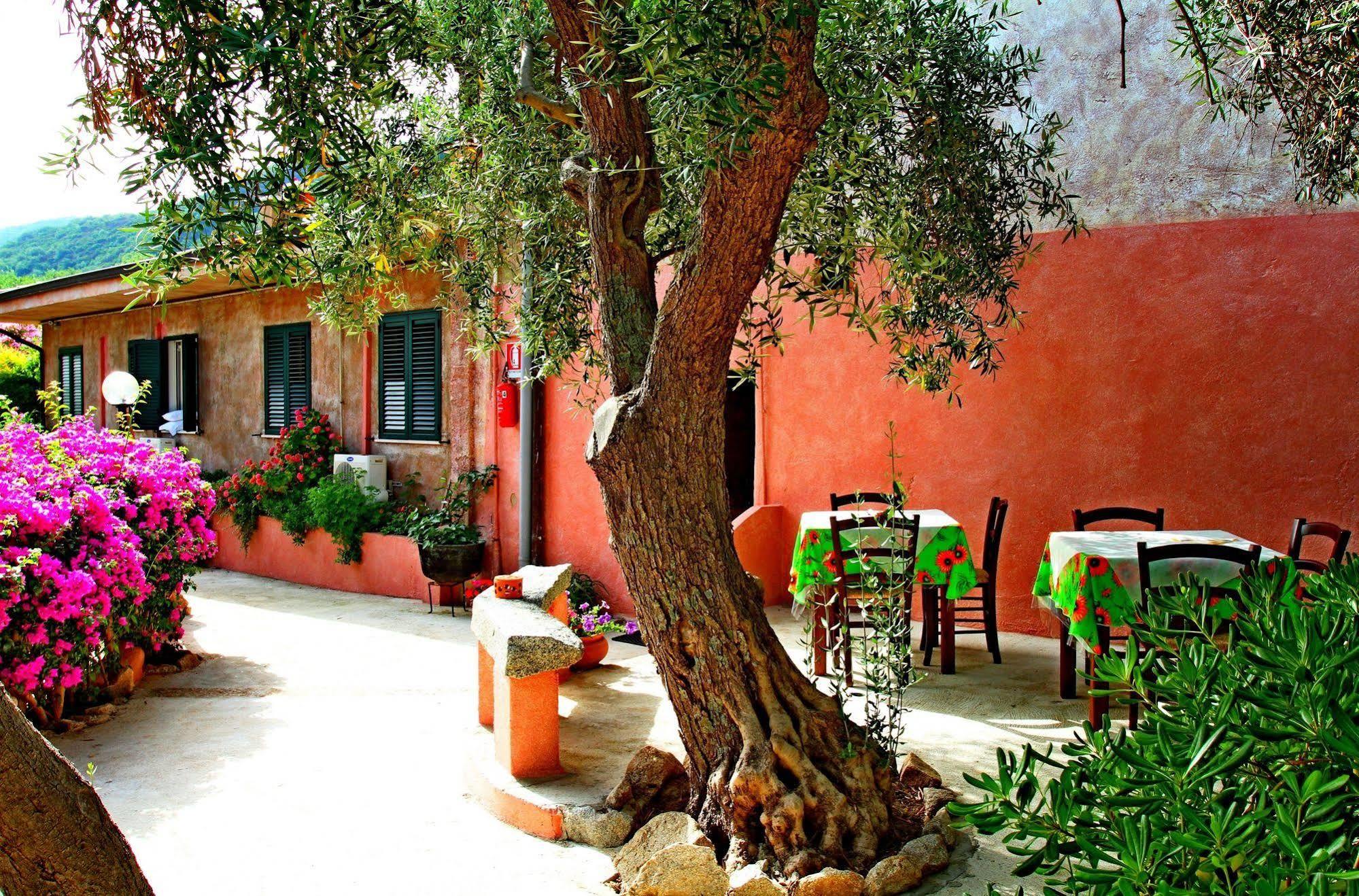 Residenza La Vigna Aparthotel Parghelia Exterior photo